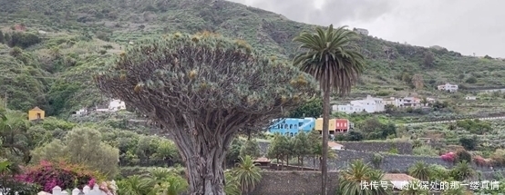 探索特内里费岛，这些地方，不知道有没有您喜欢的呢