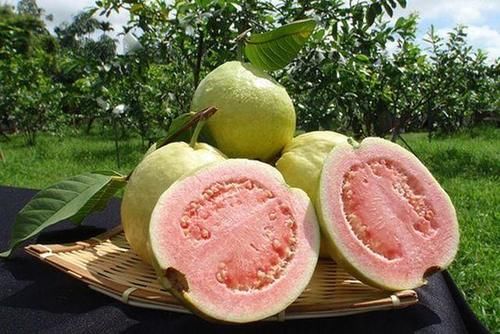 猕猴桃|“老得慢”的女人,可能平时偷偷在吃这几种水果