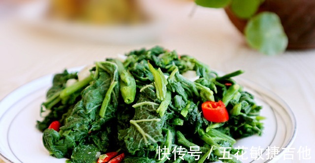 法-1|入秋后，茄子豆角不如它！成本不到2块钱，排毒清肠，滋阴养肾！