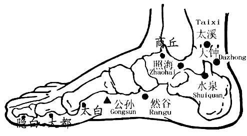  实用|人体经络穴位治百病，很全，很实用，先收藏了吧！