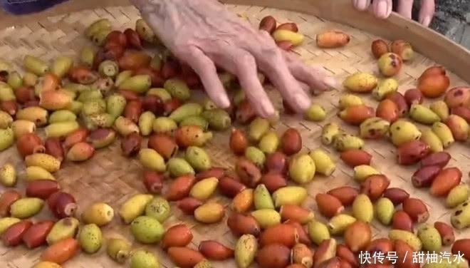 農村山上的這種野果子可以拿來泡酒，老農稱是“天下第一養生酒”