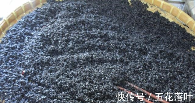 暖身体|冬季,吃它最暖身体了,多备一点可以吃一整个冬天,别错过!