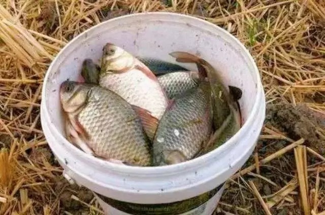 浮漂|新手如何快速掌握调漂技巧,让你少走弯路,一步到位