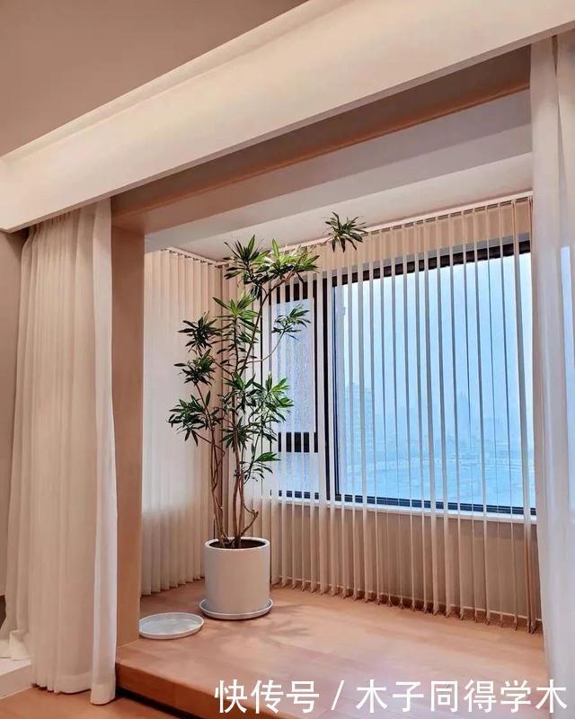 客厅养花就选这六种,寿命长、寓意好,省心又好养,你家养了几种