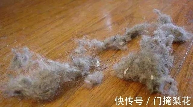 屋内几天不打扫就会出现很多毛毛，是怎么产生的？有何办法减少？
