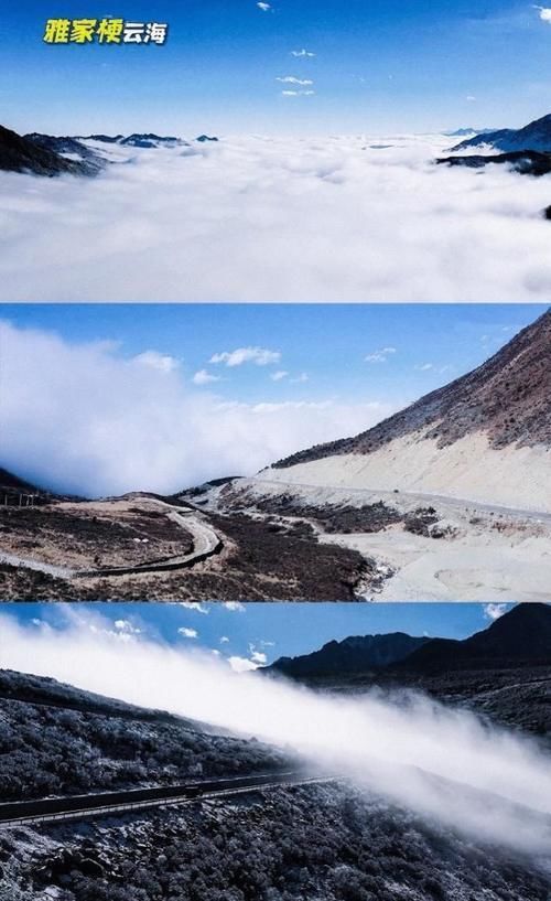 乘風(fēng)破浪的姐姐|王俊凱董子健劉昊然三直男自駕川藏線,景色如畫,看完想去旅游了