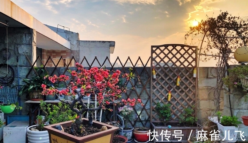 亲情|父母不在了,兄弟姐妹很快就散了的家庭,多半是因为这四个原因