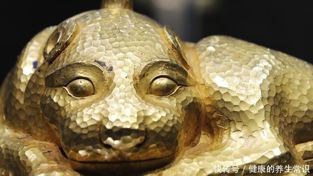 青铜器|文物惊魂24小时国宝青铜器、中国考古超重金兽及郢爰捐献始末