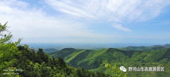 野河山|纵享夏日惬意野河山