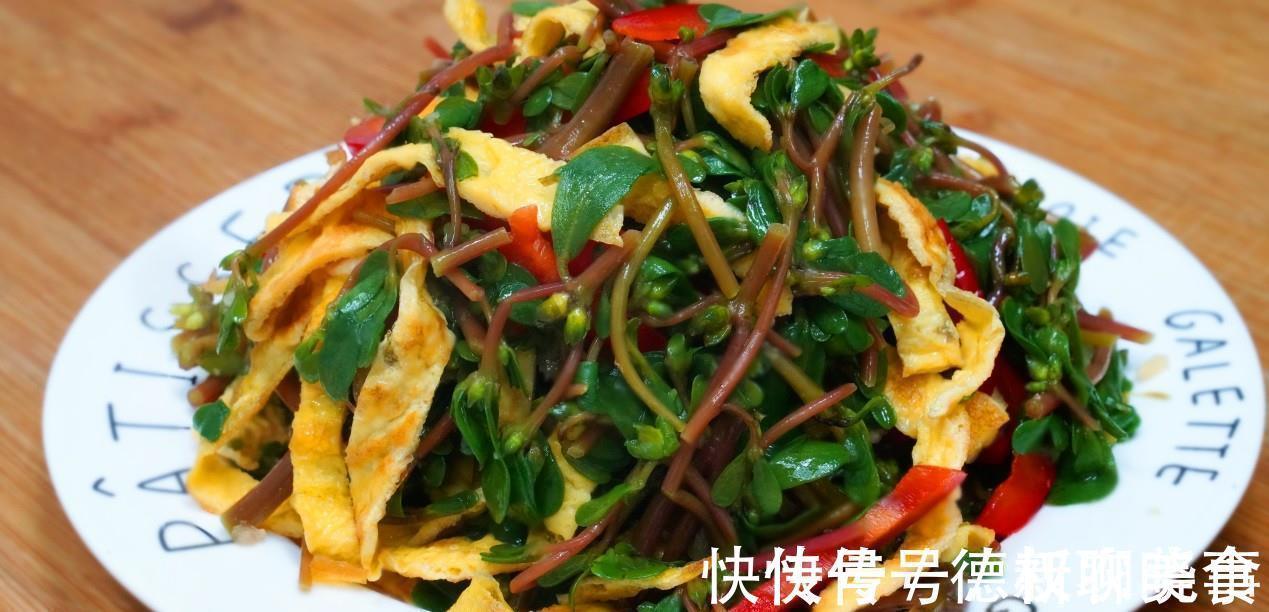 城市人|遇到此菜我从不还价,碰运气才能买到,简单一做,就是一道特色菜