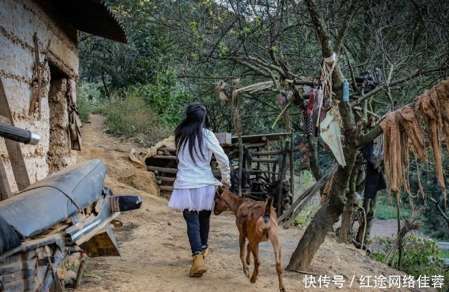 脚印|大山中的一家六口，以采药种地放牧为生，外界发现时都没户口