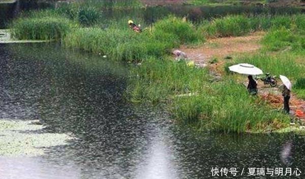 钓鱼|野钓如何才能多钓几条鱼避免这些野钓的禁忌,收获能翻倍!
