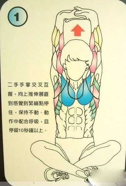 普拉提|养生法:神奇的健骨拉筋术,“筋长一寸,寿长十年”!