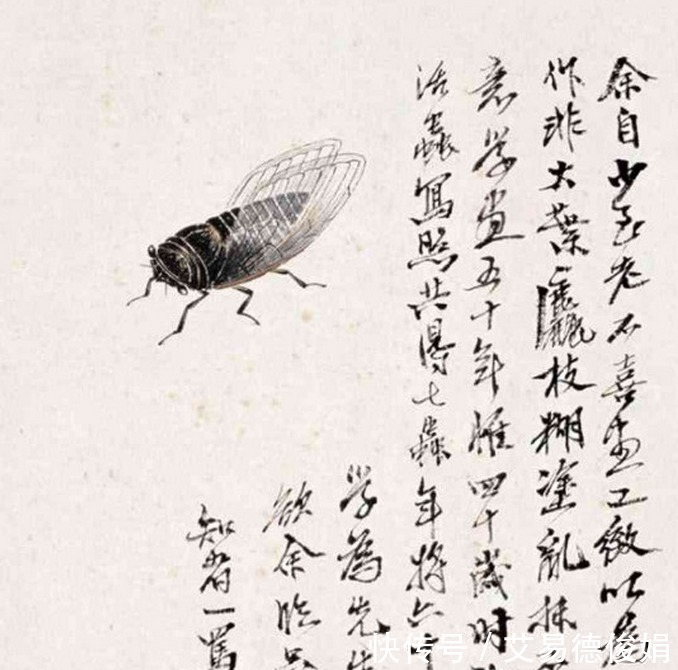 专家|齐白石一只“蝉”凭啥能卖到8亿, 专家 放大30倍再看!