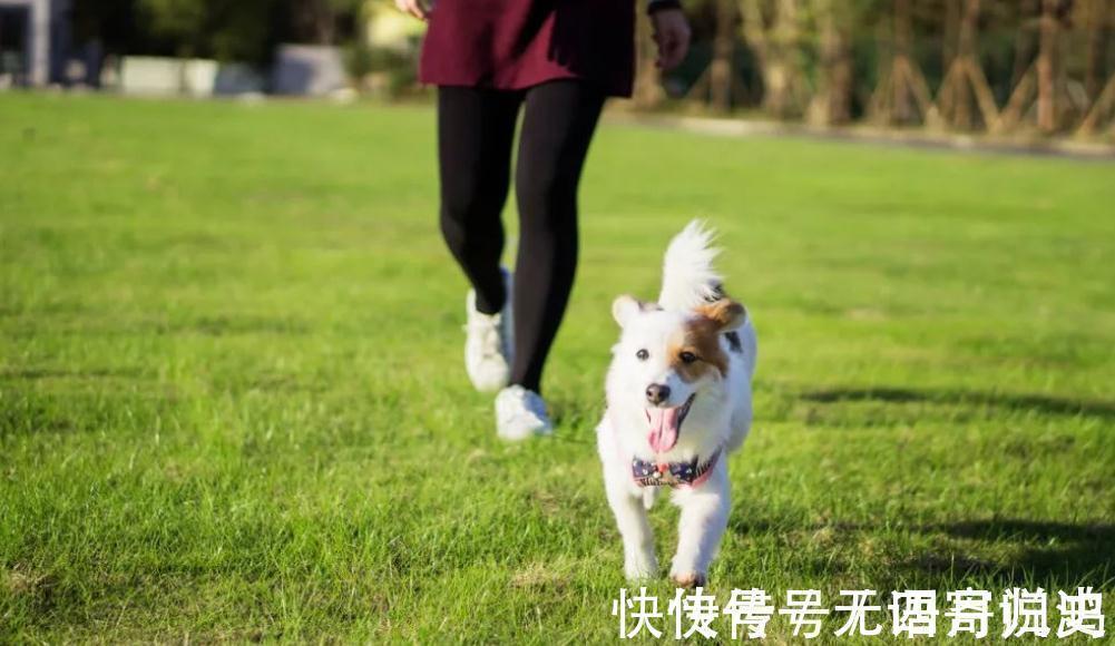 不良习惯|便秘怎么办?国家级老中医:一招帮你改善排便困难