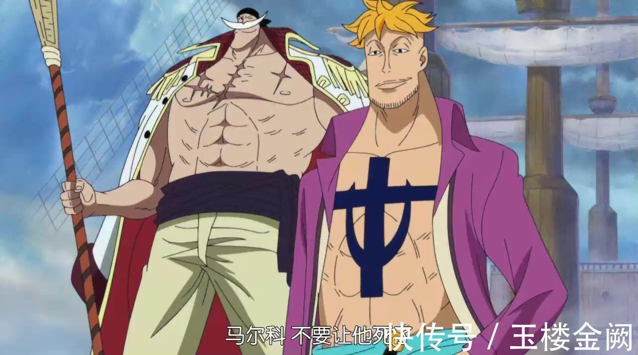 罗杰|海贼王:旧时代的强者们,早就为自己选好了接班人,实力强的一批
