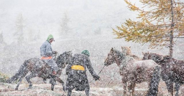 成吉思汗|一代奇女子歌璧一生嫁三个大汗，前俩是父子，最后一个是成吉思汗