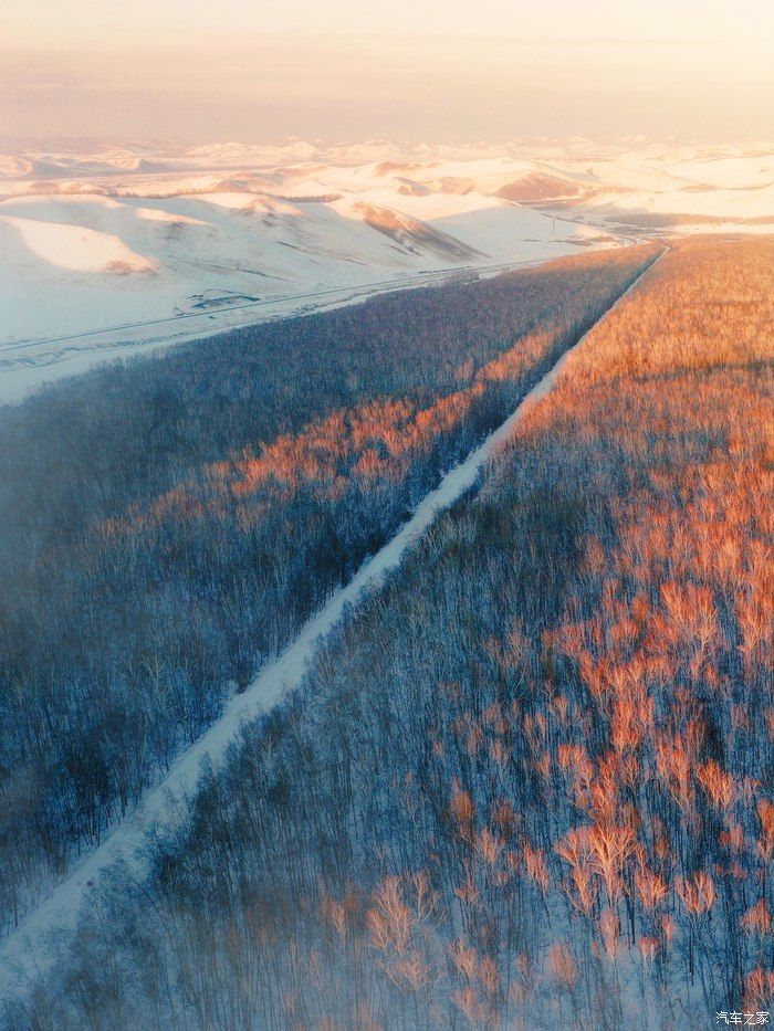 魅力雪境-与福克斯一起探索呼伦贝尔的冬天