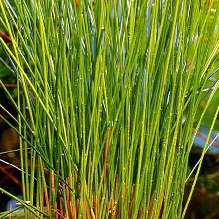 心经|晚上老是失眠多梦睡不着多吃6种食物，助你一觉睡到自然醒