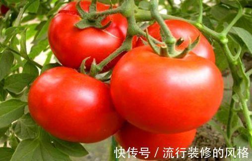 营养物质|女性不想长皱纹,3种食物换着吃,排毒消脂,美容抗衰,滋补身体