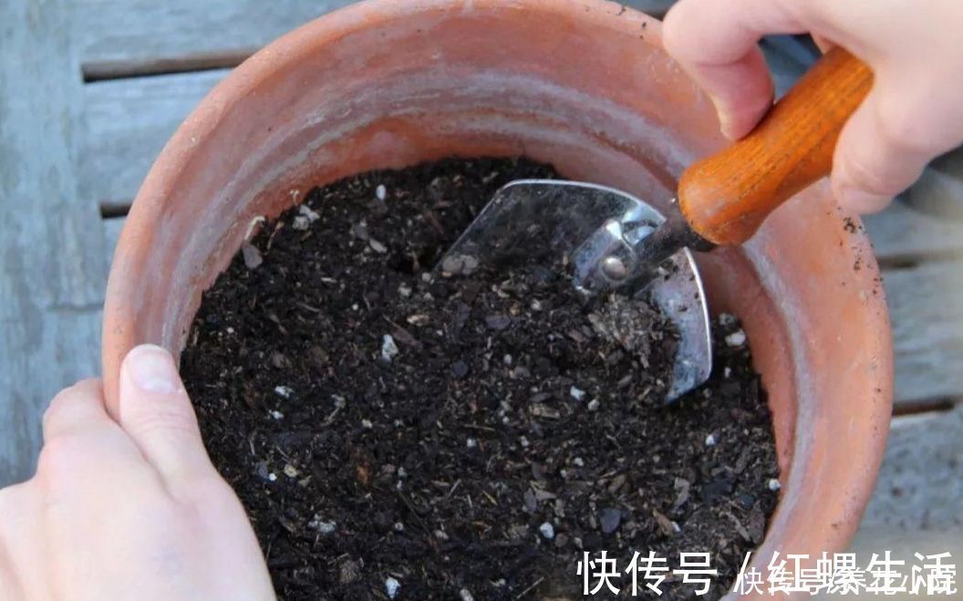 松软|营养土不用买，几种材料掺一起，养分充足又松软，适合养各种花