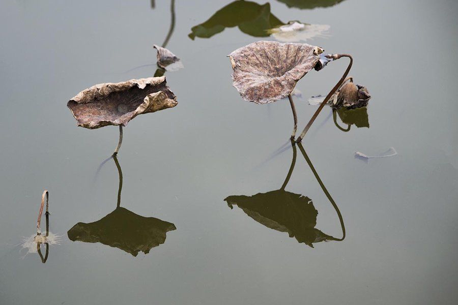 诗友@16位诗友，18首《渔家傲》，一一都是人生情感的流露