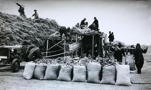 政策|乌克兰大饥荒期间,斯大林的这项政策,让所有国家看不到饥饿民众