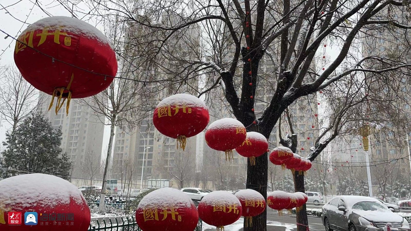 樱桃花|春雪润淄博，仙境落人间，一起赏雪吧！