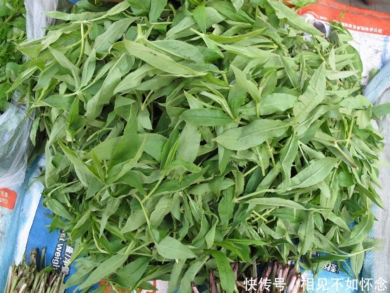 营养价值|营养价值高的3类食物，不妨常吃，帮助消化、清理肠毒、健脾安神