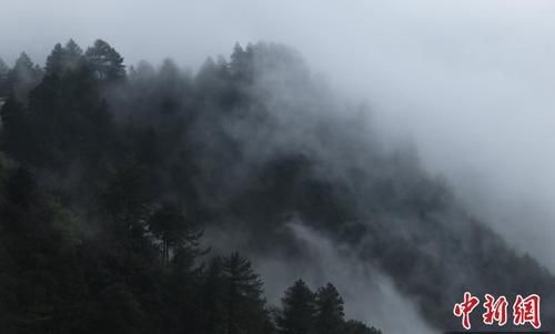 重庆黑山谷雨雾缭绕宛如仙境