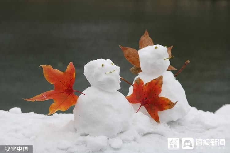 二候虎$诗话大雪丨飘飘白雪飞 青竹变琼枝