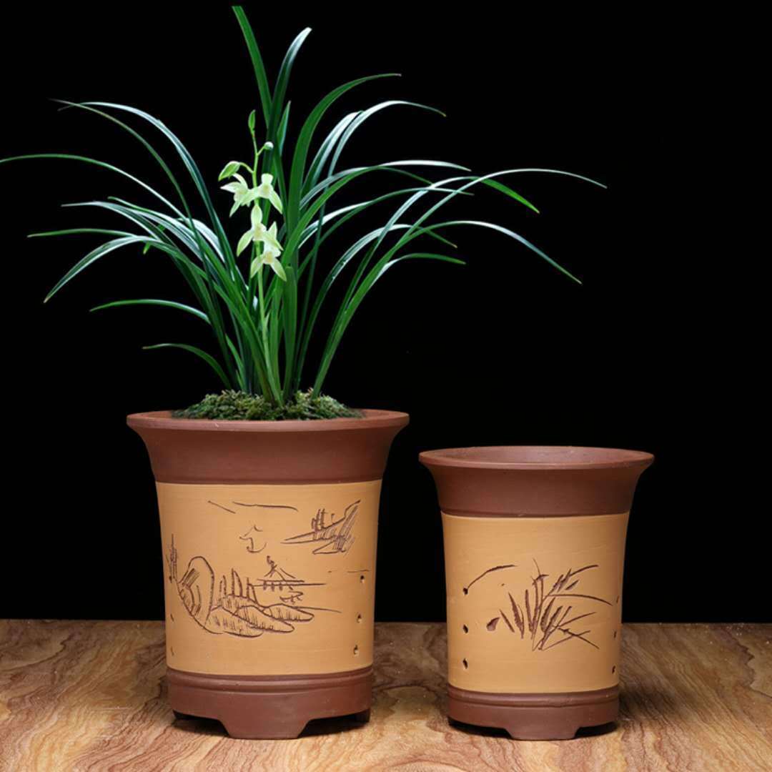 兰之说说——新手如何选择兰盆和植料