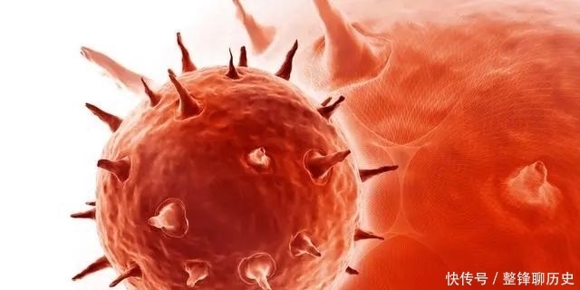 爱吃肉和爱吃素相比,哪个易健康?终于有确切的答案了