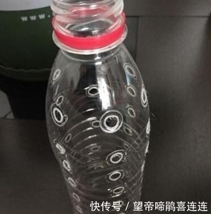 隔壁大爷把“塑料瓶子”绑起来，绿萝盆栽，被他养成一棵绿萝树