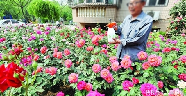 推荐|96岁肿瘤院士推荐,简单3句防肝癌,不花冤枉钱,国内外都在用