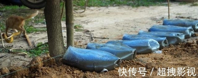 满铺|自己动手捯饬院子,塑料袋里灌水泥,铺满整个地面,比青石板结实