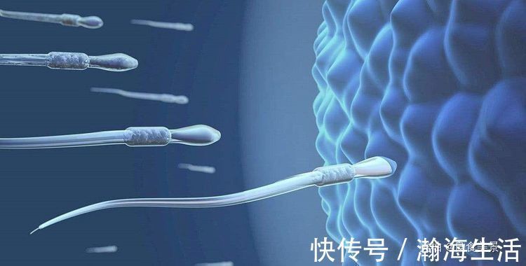 受精卵着床出血量