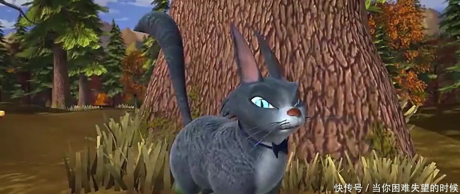 动漫|熊出没:什么人养什么宠物,但动漫里女孩子们养的宠物反差都很大