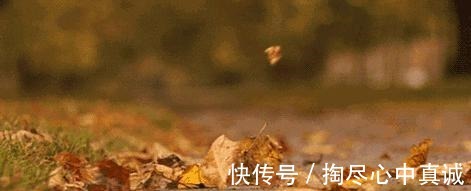 皮肤 你的秋冬面霜上白名单了吗这几款太好用啦!