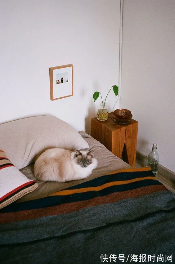 编辑|编辑部秀居家照，一起聊聊居家幸福感