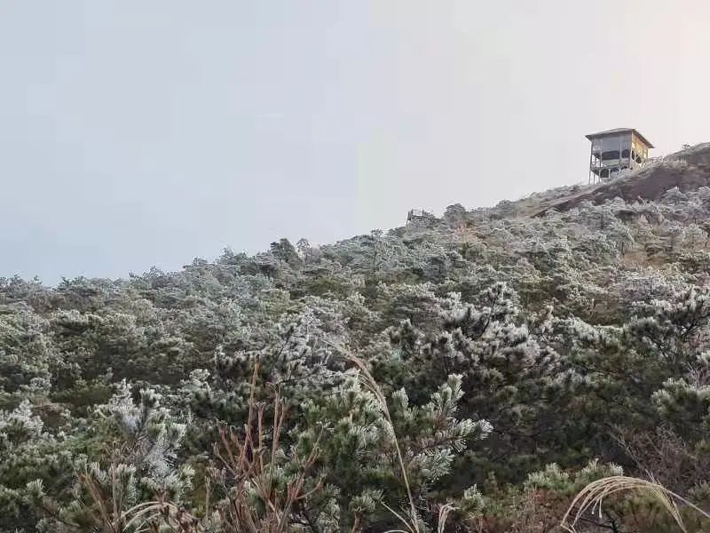 奇景|奇景！一起走进1929米的“冰雪奇缘”！