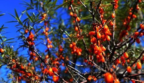 冬天之后，女多吃3种食物，美容养颜，滋养肌肤，皮肤更细腻