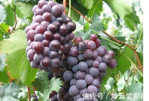 判定|被判定为高血压？可能是三种水果惹的祸，管不住嘴或会很麻烦