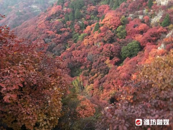 石门坊景区|夕照映红叶，不亦美哉