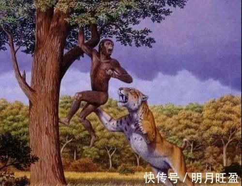 小家伙|婴儿一抱就不哭？科学依据：这是人类进化的“逃生本能”所致