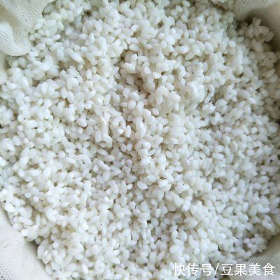 酸奶机|餐厅必点的米酒~醪糟~，在家也能做