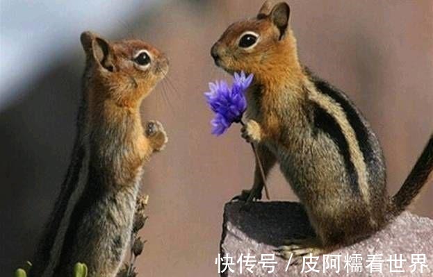 |开心一刻笑话:我女朋友人长得漂亮,身材也好,性格也好