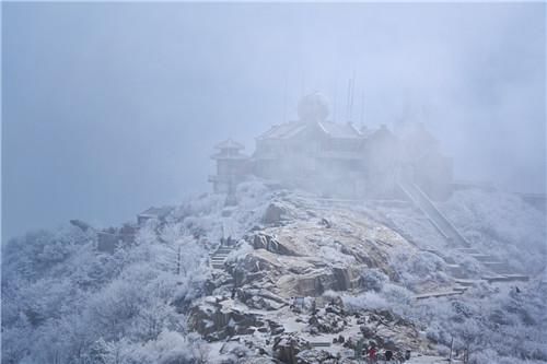 雾凇|“泰”美了！岱顶现雾凇美景 如入童话世界