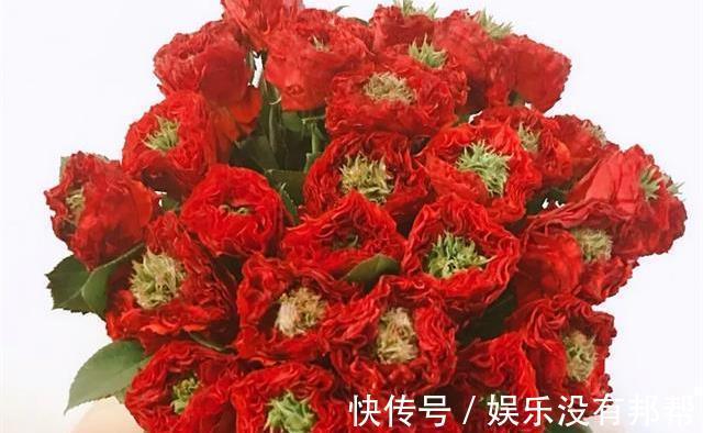 你粉|比较受欢迎的10款进口玫瑰花,一直都供不应求,你粉了吗?