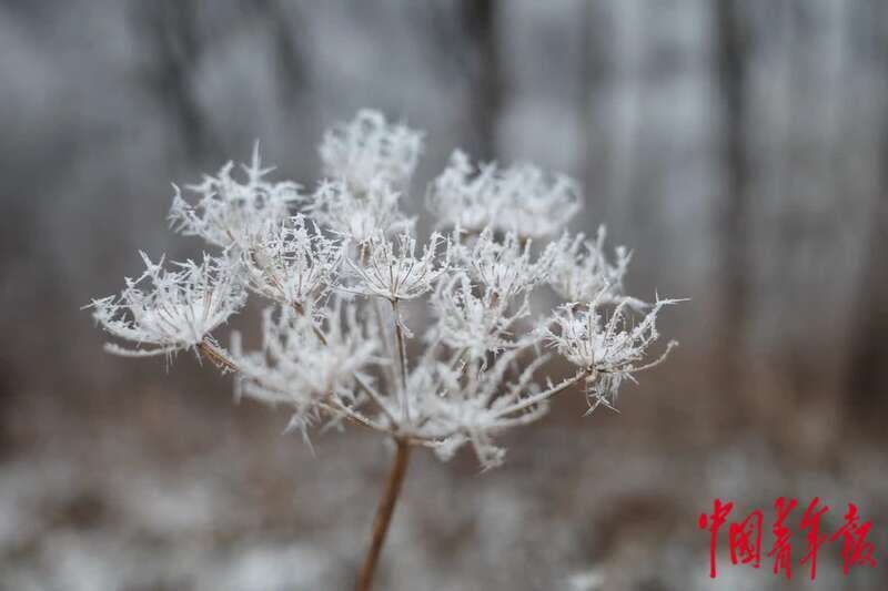 银装|雪后长城